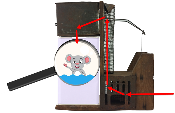 Diagram of Capito Mouse Trap Circa 1920